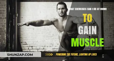 Effective Home Workouts to Build Muscle Without Equipment