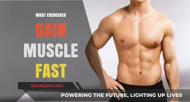 Effective Workouts to Build Muscle Quickly and Efficiently