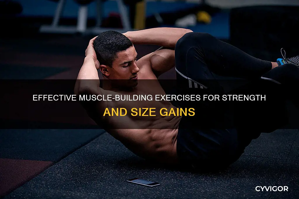 what exercises gain muscle