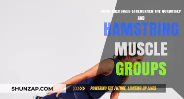 Effective Exercises to Strengthen Quads and Hamstrings for Optimal Leg Power