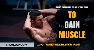 Effective Gym Workouts for Building Muscle Mass and Strength