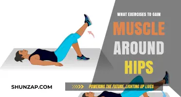 Effective Hip Muscle Building: Targeted Exercises for Stronger, Toned Hips