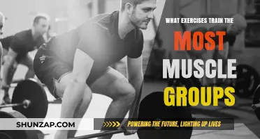 Maximize Your Workout: Compound Exercises for Full-Body Muscle Training