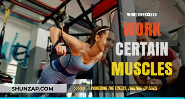 Targeted Workouts: Exercises to Sculpt and Strengthen Specific Muscles