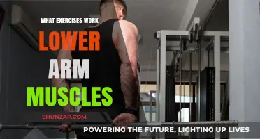 Effective Lower Arm Muscle Workouts: Strengthen and Tone Your Forearms