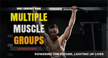 Effective Full-Body Workouts: Exercises Targeting Multiple Muscle Groups