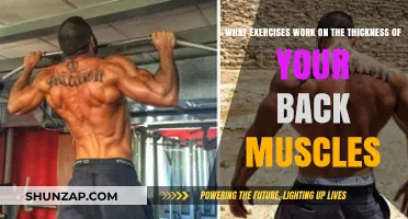 Build a Thicker Back: Targeted Exercises for Muscle Growth