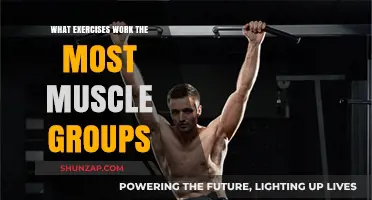 Maximize Your Workout: Full-Body Exercises for Ultimate Muscle Engagement