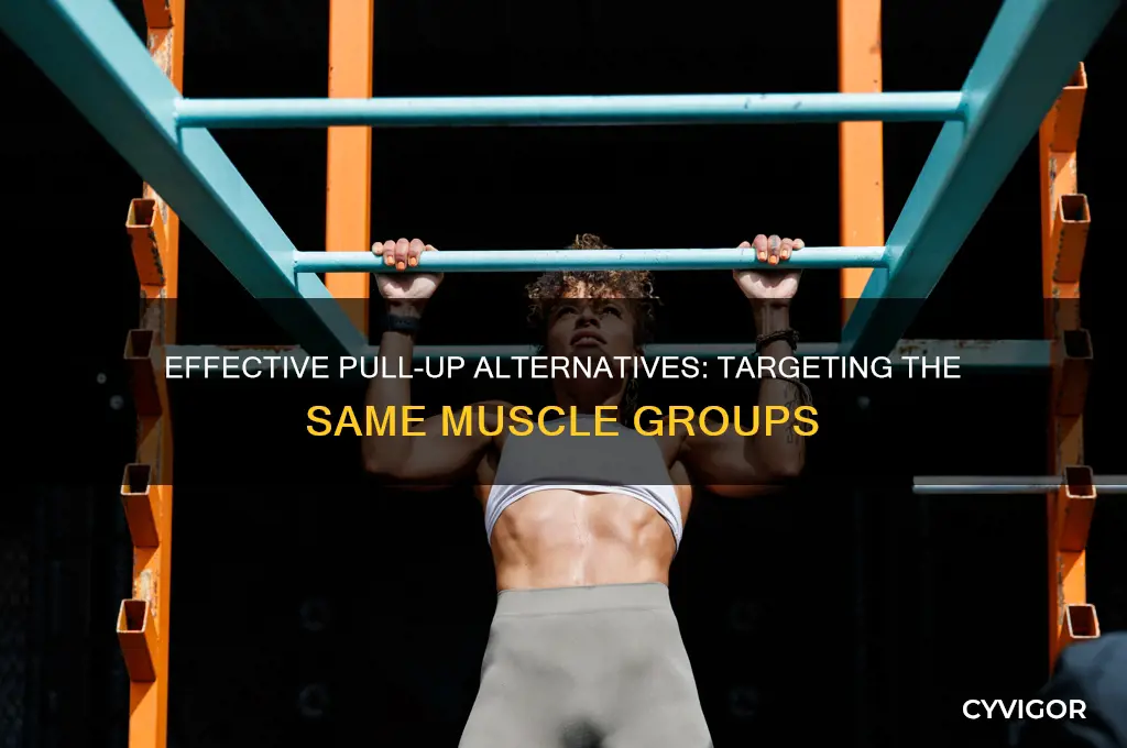 what exercises work the samne muscles as pullups