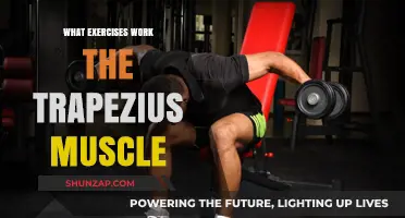 Effective Exercises to Strengthen and Tone Your Trapezius Muscles