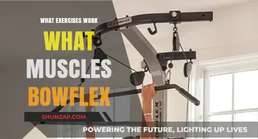 Effective Bowflex Workouts: Targeting Muscles for Optimal Strength Training