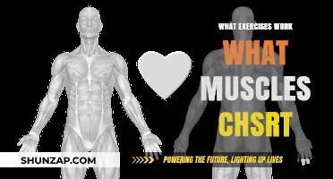 Ultimate Guide: Exercises and Muscles They Target Chart Explained