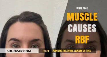 Understanding RBF: The Role of the Zygomaticus Muscle in Facial Expressions