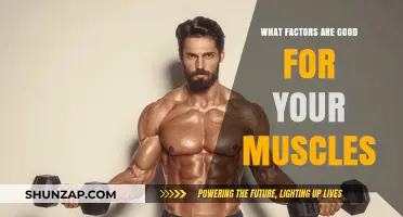 Building Strength: Key Factors for Healthy Muscles