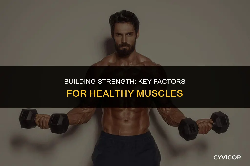 what factors are good for your muscles
