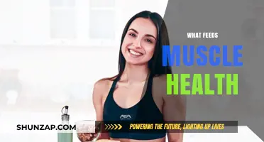 Muscle Health: What Fuels Your Muscles?