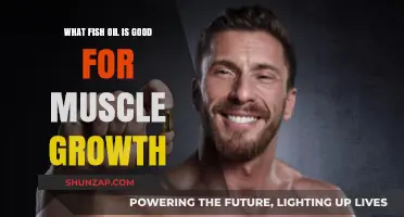 Unlocking Muscle Growth: The Essential Guide to Fish Oil Supplements