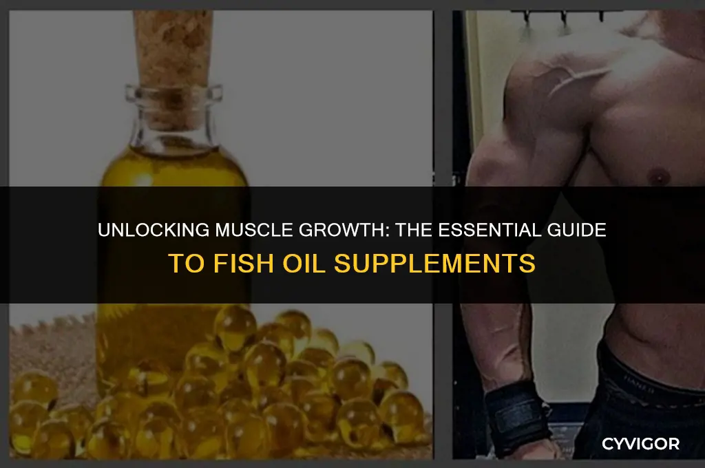 what fish oil is good for muscle growth
