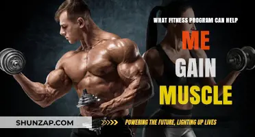 Effective Fitness Programs to Build Muscle and Strength Fast