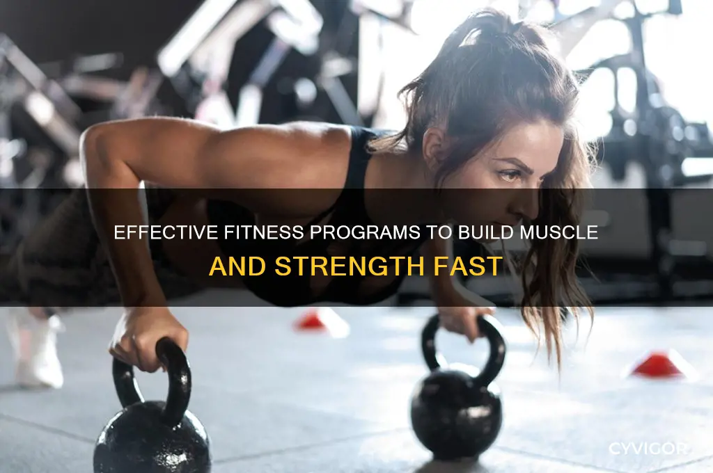 what fitness program can help me gain muscle