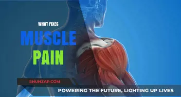 Effective Remedies to Relieve and Heal Muscle Pain Quickly