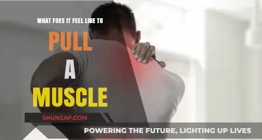 Pulling a Muscle: Understanding the Pain and Sensation Explained