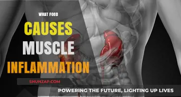Foods That Fuel Muscle Inflammation: What to Avoid for Recovery