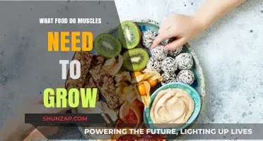 Fuel Your Muscle Growth: Essential Foods for Strength and Size