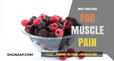 Nutrition to Relieve Muscle Pain: Foods That Heal and Recover