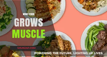 Fuel Your Gains: Top Muscle-Building Foods for Strength and Size