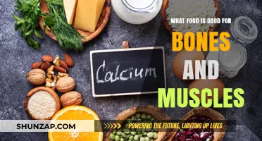 Nourish Your Body: Top Foods for Strong Bones and Muscles