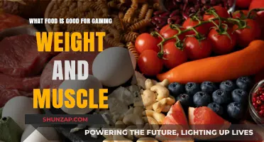 High-Calorie Muscle-Building Foods to Fuel Your Weight Gain Journey