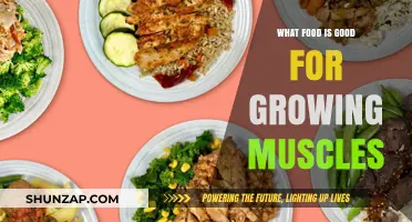 Fuel Your Gains: The Ultimate Guide to Muscle-Building Foods