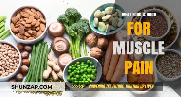 Nutrition to Relieve Muscle Pain: Foods That Heal and Soothe