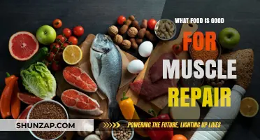 Fuel Your Recovery: Top Foods for Muscle Repair and Growth