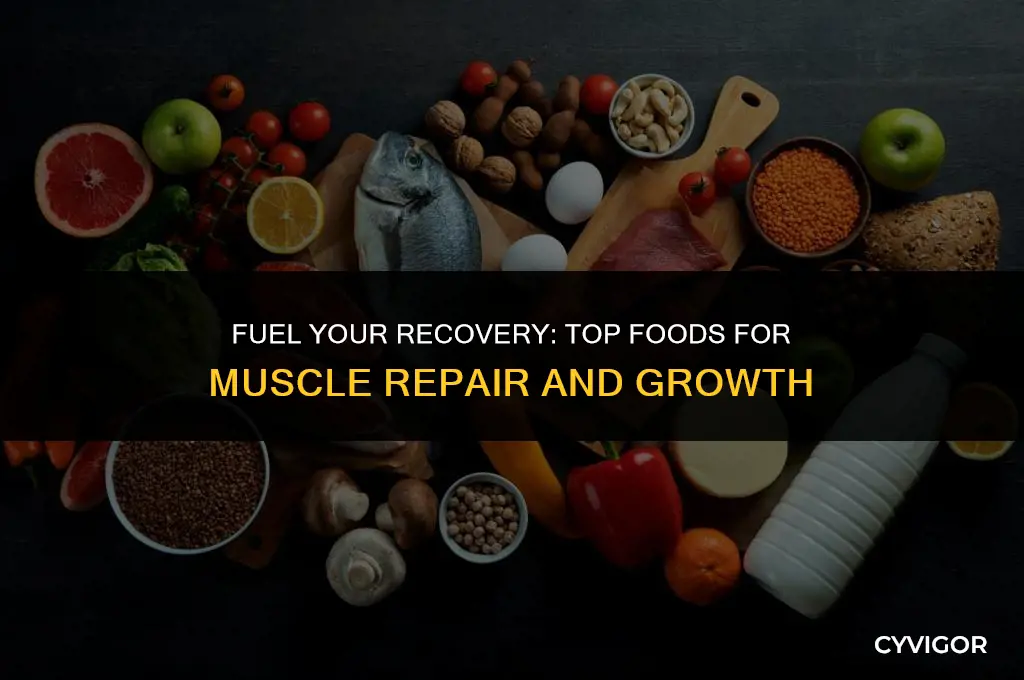 what food is good for muscle repair