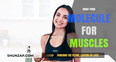 Muscle Food: Essential Molecules for Strength