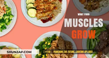 Fuel Your Gains: Top Muscle-Building Foods for Optimal Growth