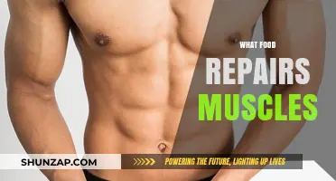 Best Foods to Repair and Build Muscles