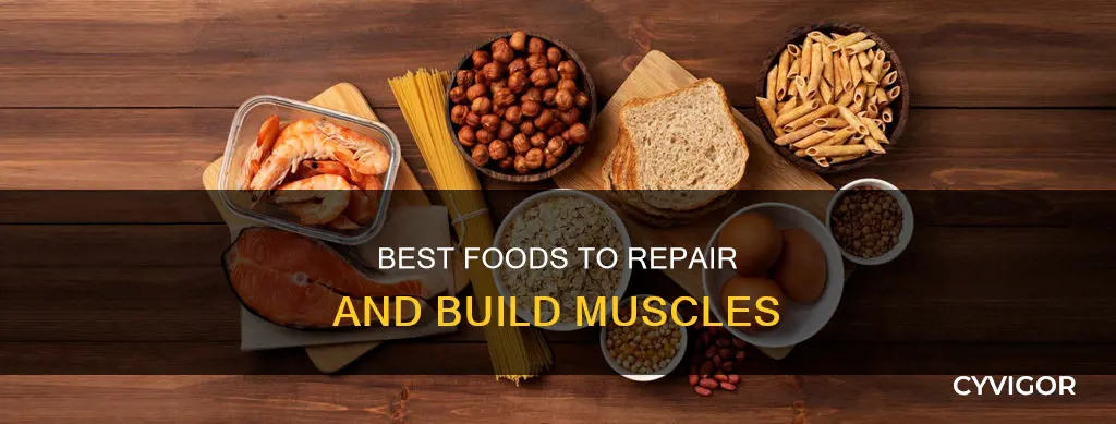 what food repairs muscles