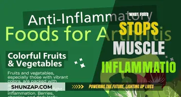 Anti-Inflammatory Foods for Muscle Recovery