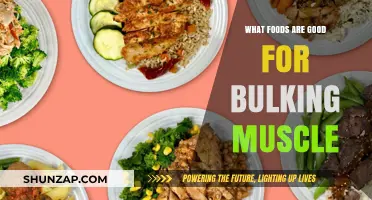 Fuel Your Gains: The Ultimate Guide to Muscle-Building Foods