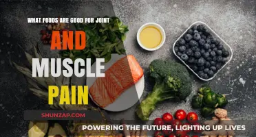 Nutrition for Relief: Best Foods to Ease Joint and Muscle Pain
