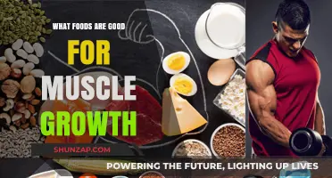 Fuel Your Gains: Top Muscle-Building Foods for Optimal Growth