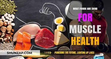 Fuel Your Fitness: Top Foods for Optimal Muscle Health