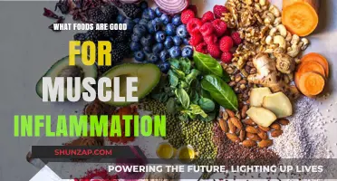 Top Foods to Ease Muscle Inflammation: A Comprehensive Guide