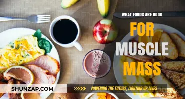 Fuel Your Gains: The Ultimate Guide to Muscle-Building Foods