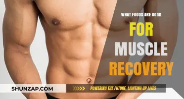 Fuel Your Recovery: Top Foods to Rebuild and Repair Muscles