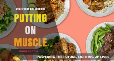 Fuel Your Gains: The Ultimate Guide to Muscle-Building Foods