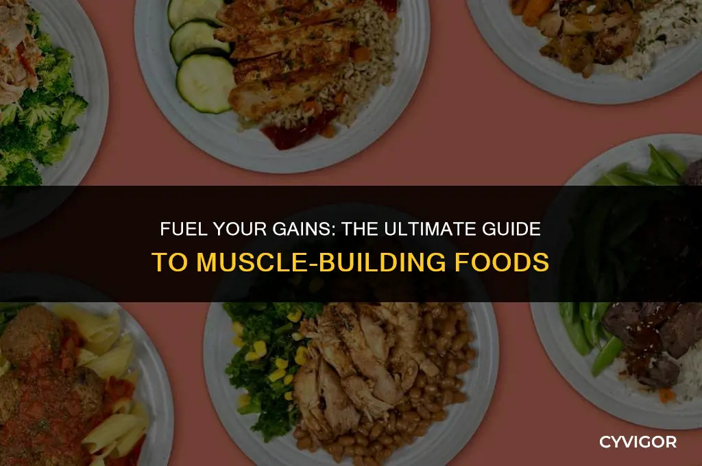 what foods are good for putting on muscle